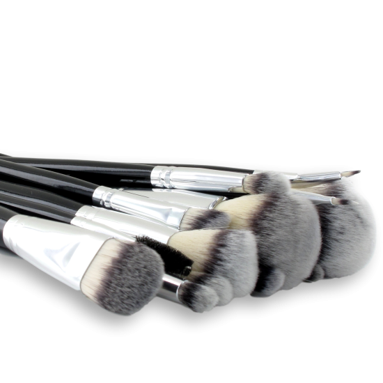 Professional 10-piece synthetic brush set