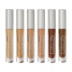 beMineral Perfect Cover Concealer